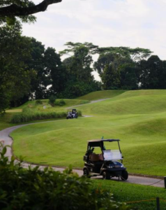 Why Playing Any Ball Without Considering Performance Hurts Your Game